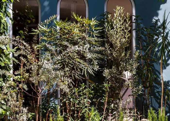 Casa Muri * México DF